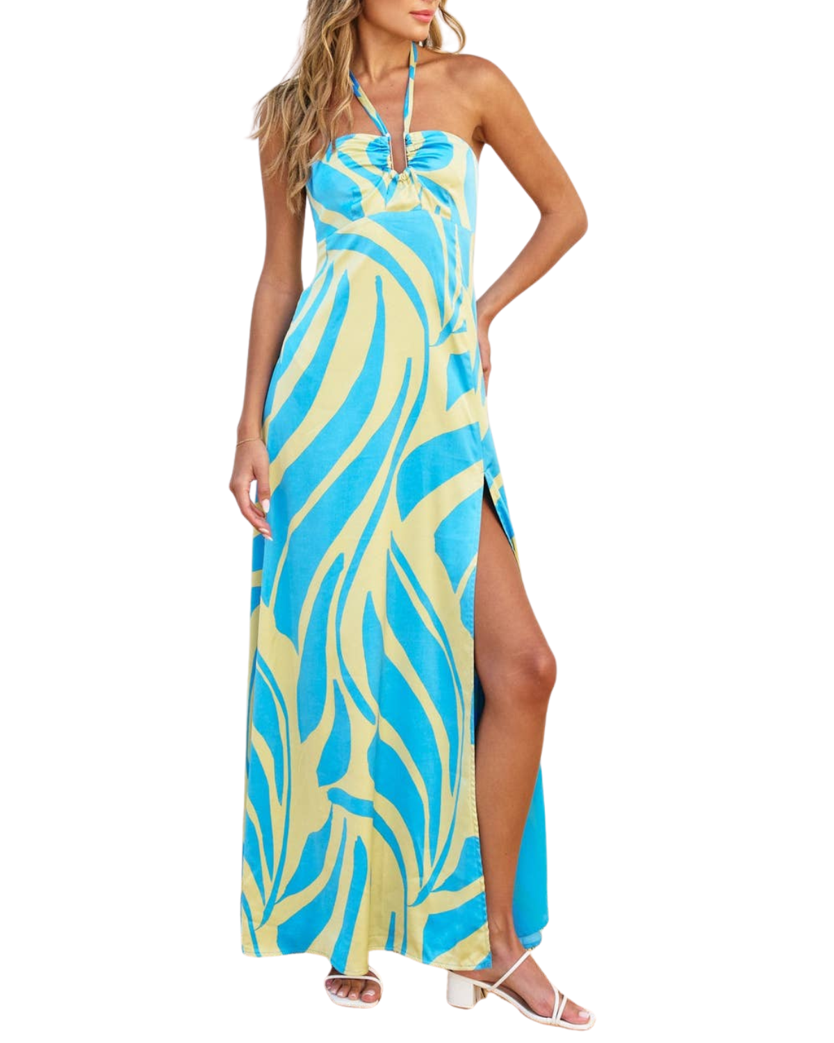 Dress Forum Burst of Bliss Halter Neck Maxi Dress - FD11476
