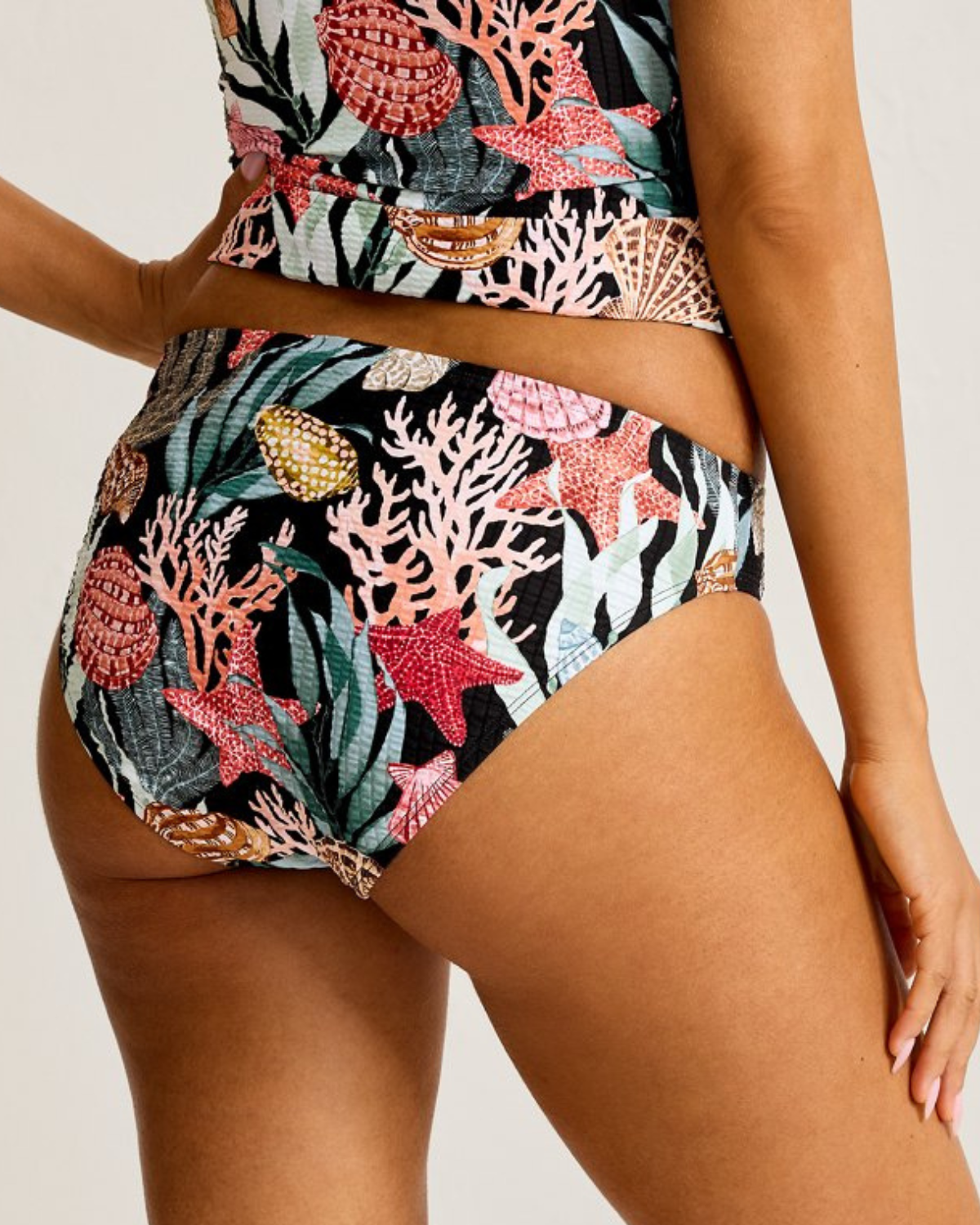 Tommy Bahama Shell Sands Hipster Bikini Bottoms - SS200561