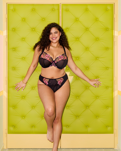 Elomi Teagan High Cut Brief Panty - EL302653 - Rainbow