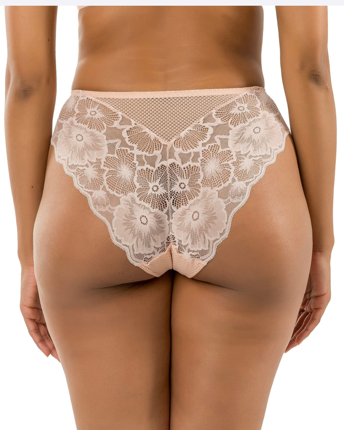Parfait Luxlacy Lace and Mesh Hipster Panty - P6005